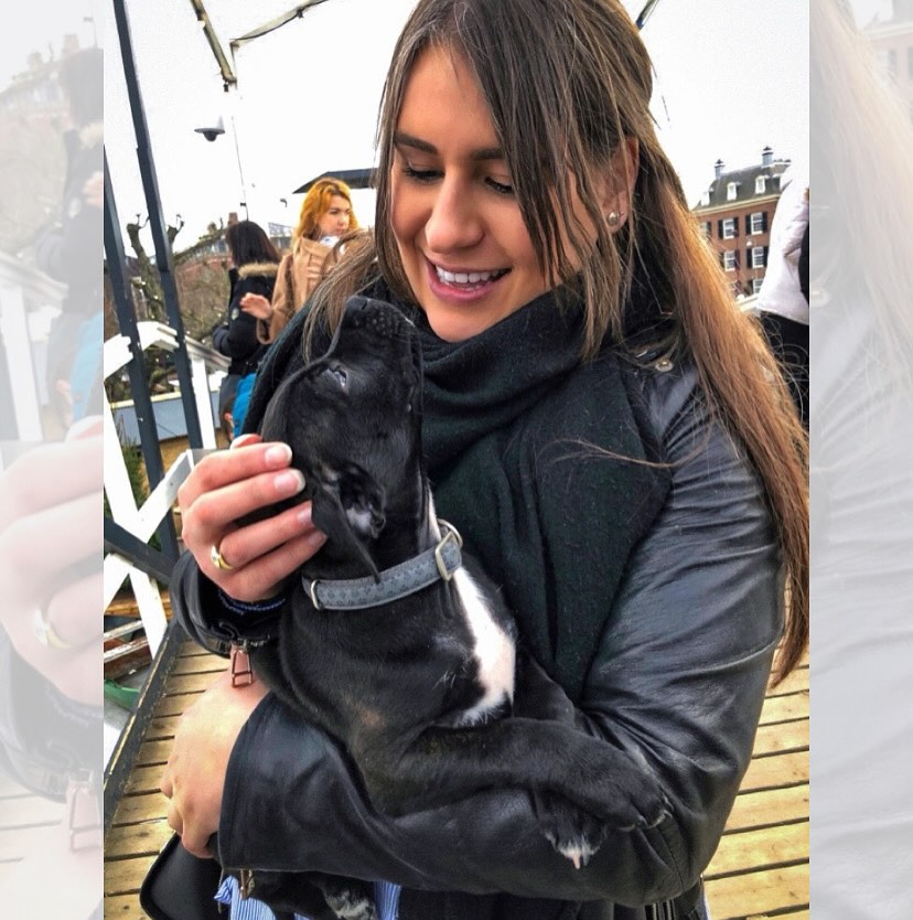 Happy Staffie family