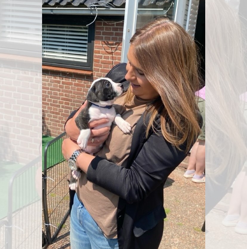 Happy Staffie family