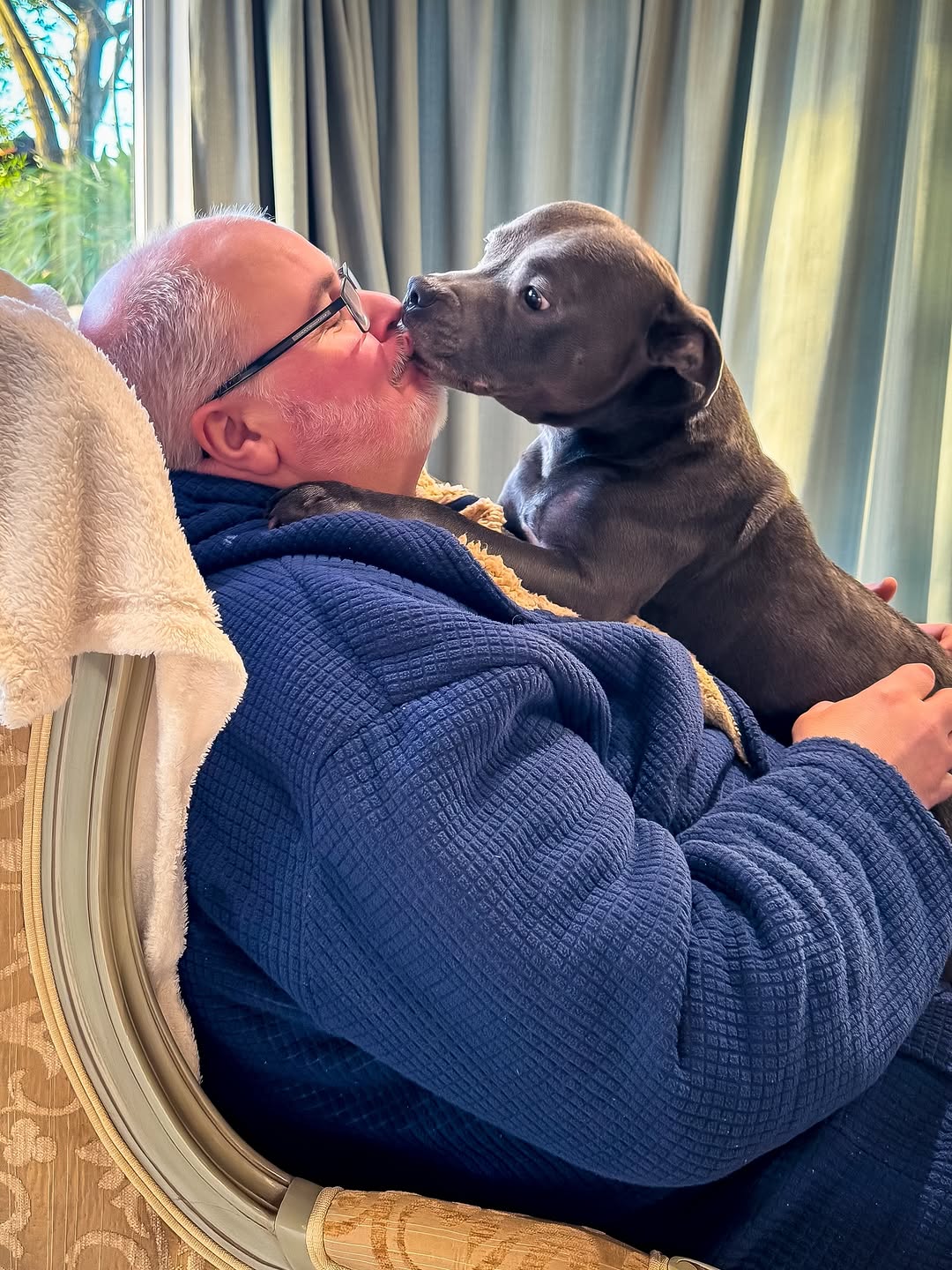 Happy Staffie family
