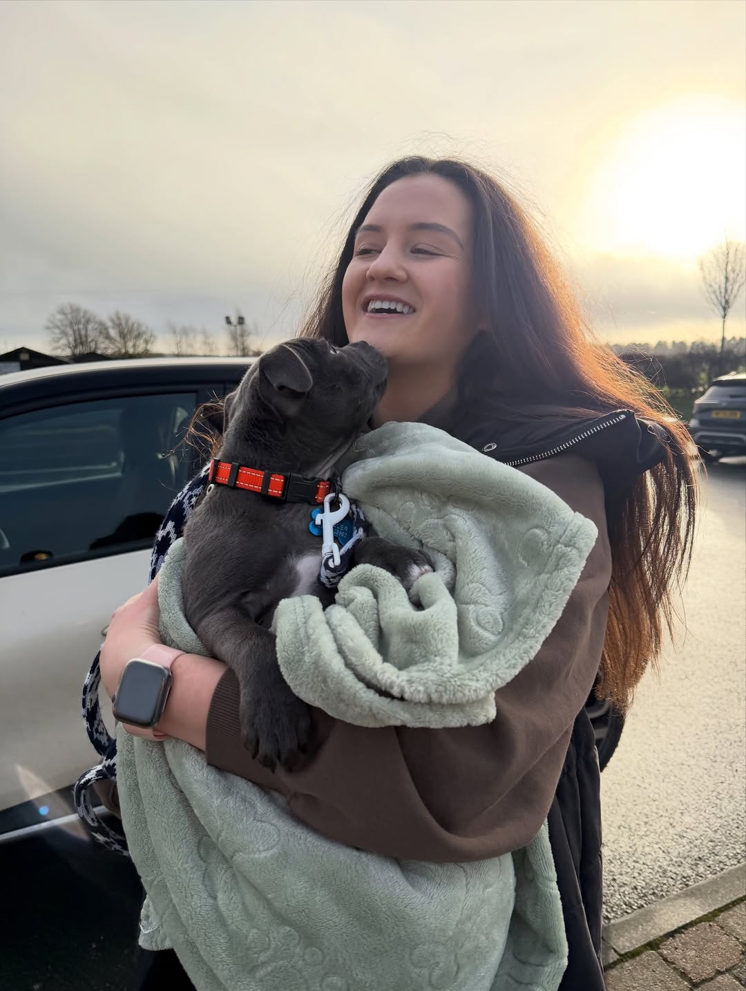 Happy Staffie family